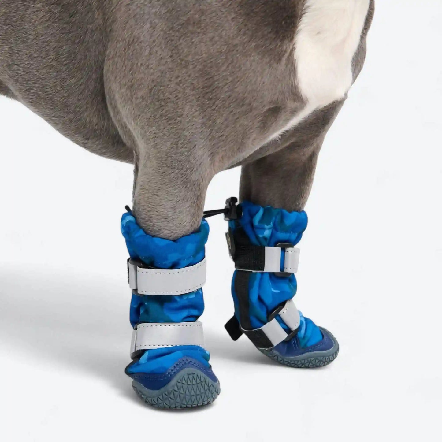 Dog Rainboots, Waterproof Dog Shoes