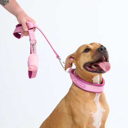 Cushioned Martingale Collar - Pink