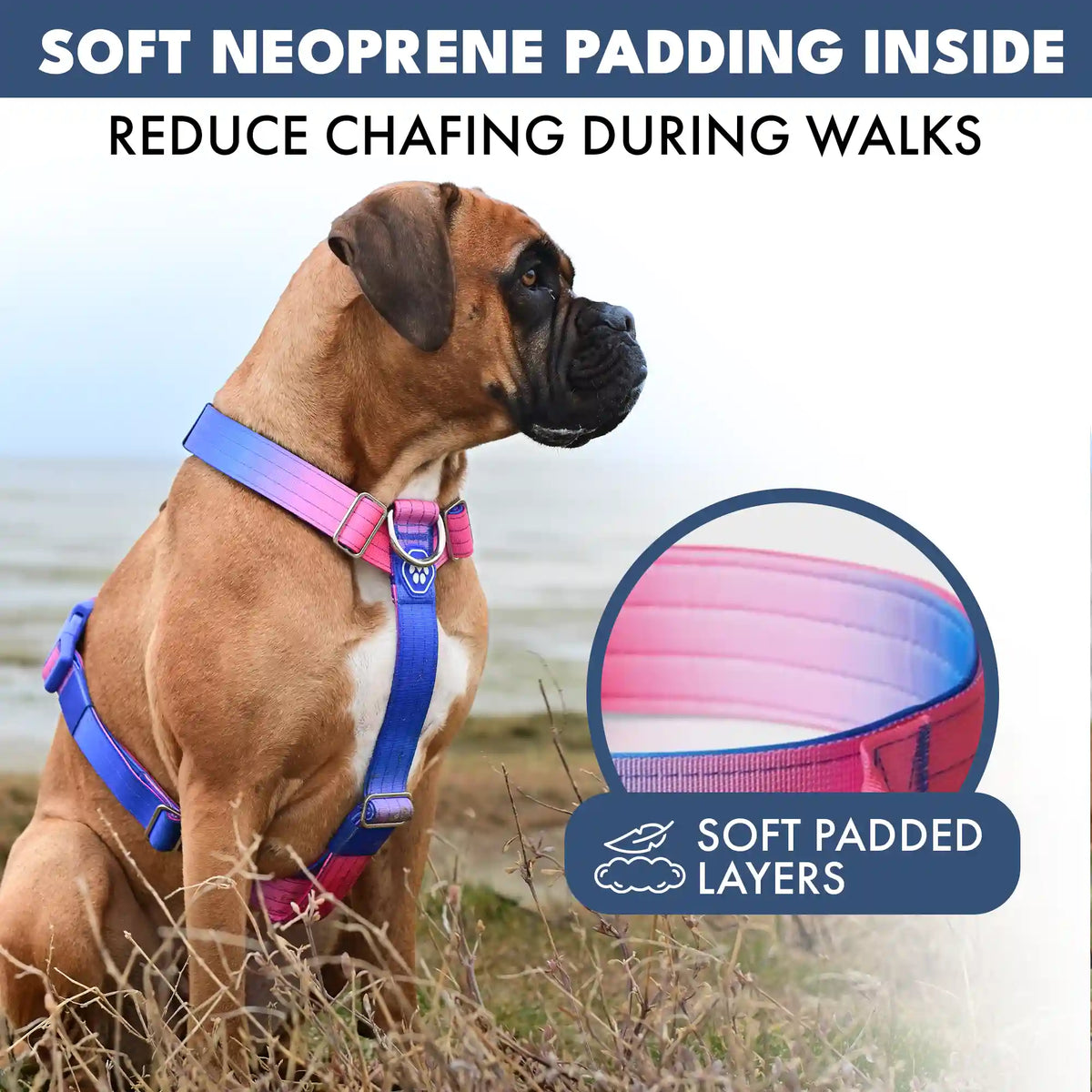 Comfort Control No-Pull Dog Harnesses