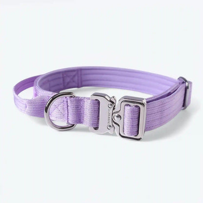 Comfort Control Dog Collars