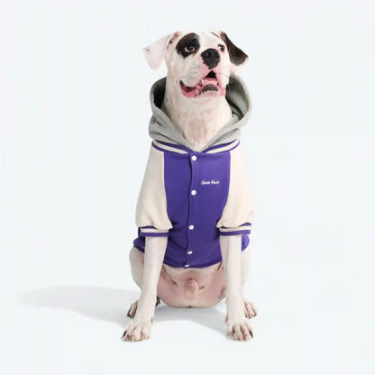 Dog Varsity Jacket - Purple