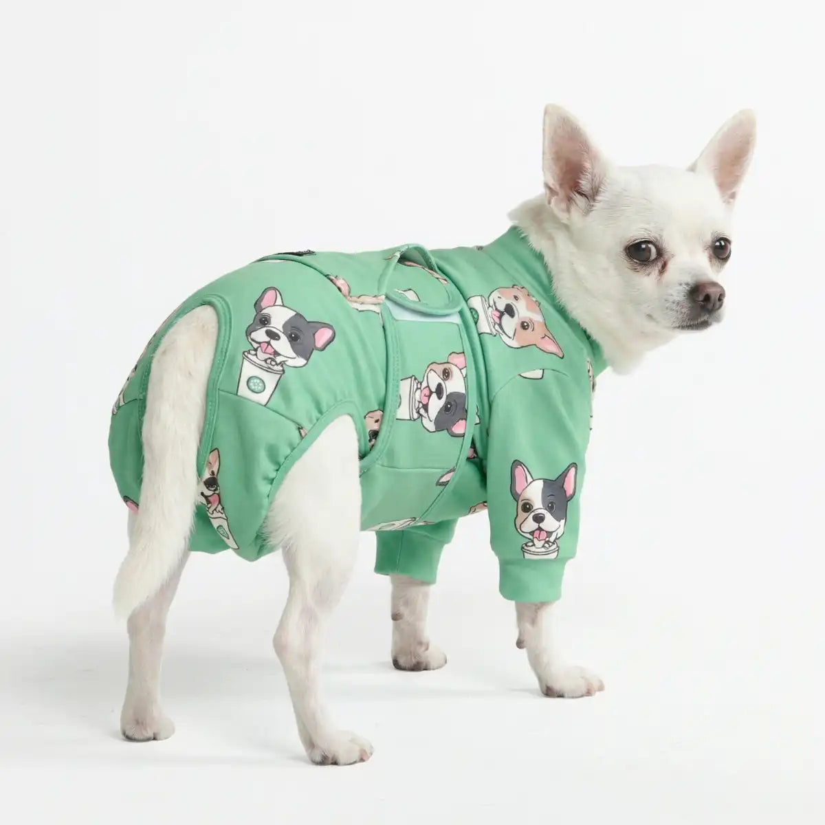 Dog Surgical Suit
