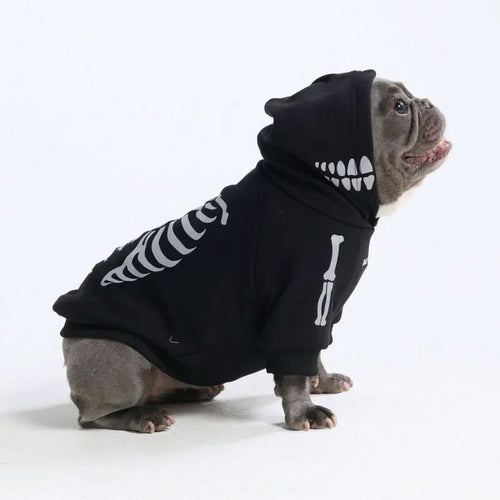 Halloween Dog Hoodie - Reflective Skeleton (2)