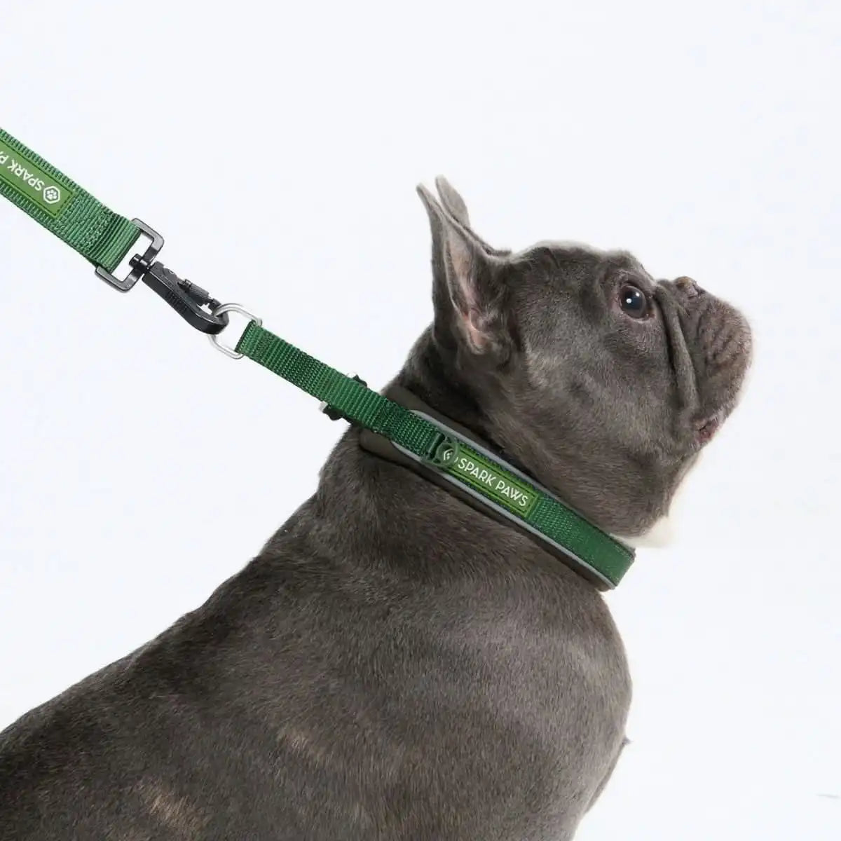Cushioned Martingale Collar - Army Green
