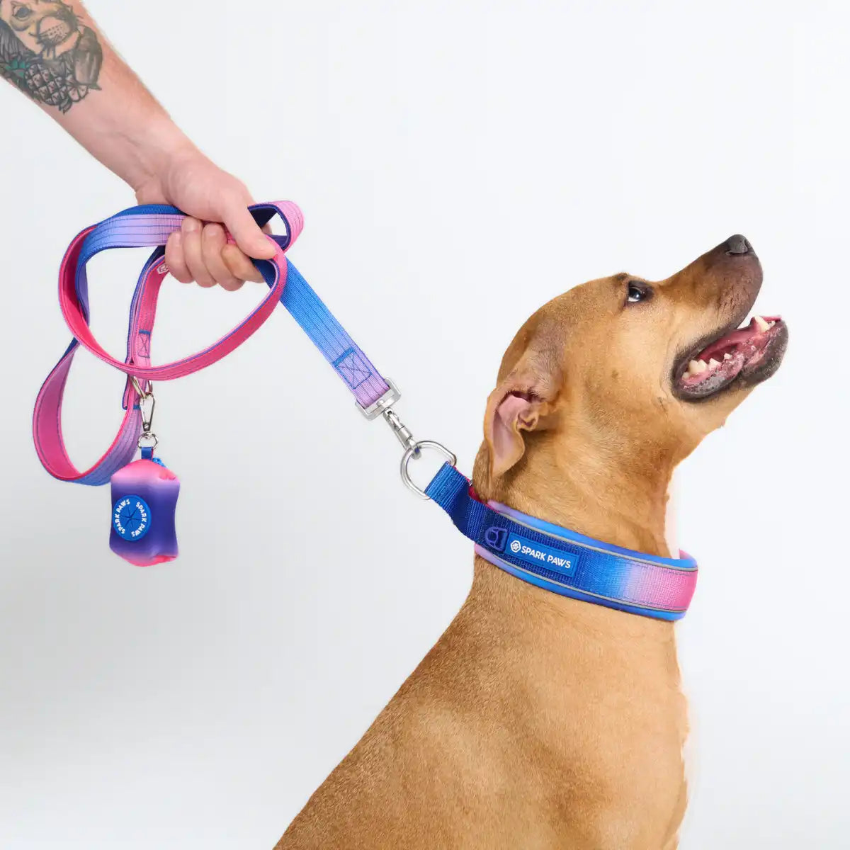 Cushioned Martingale Collars
