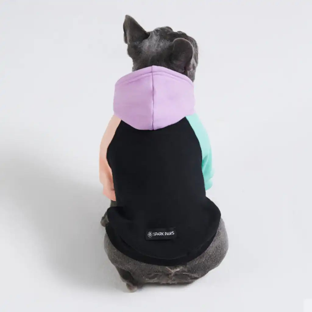 Color Block Dog Hoodies