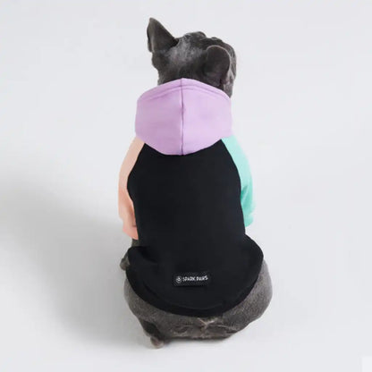 Color Block Dog Hoodies