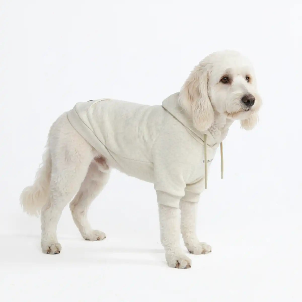 Essential Dog Hoodies
