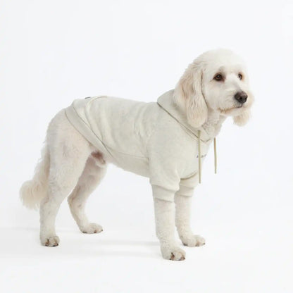 Essential Dog Hoodies