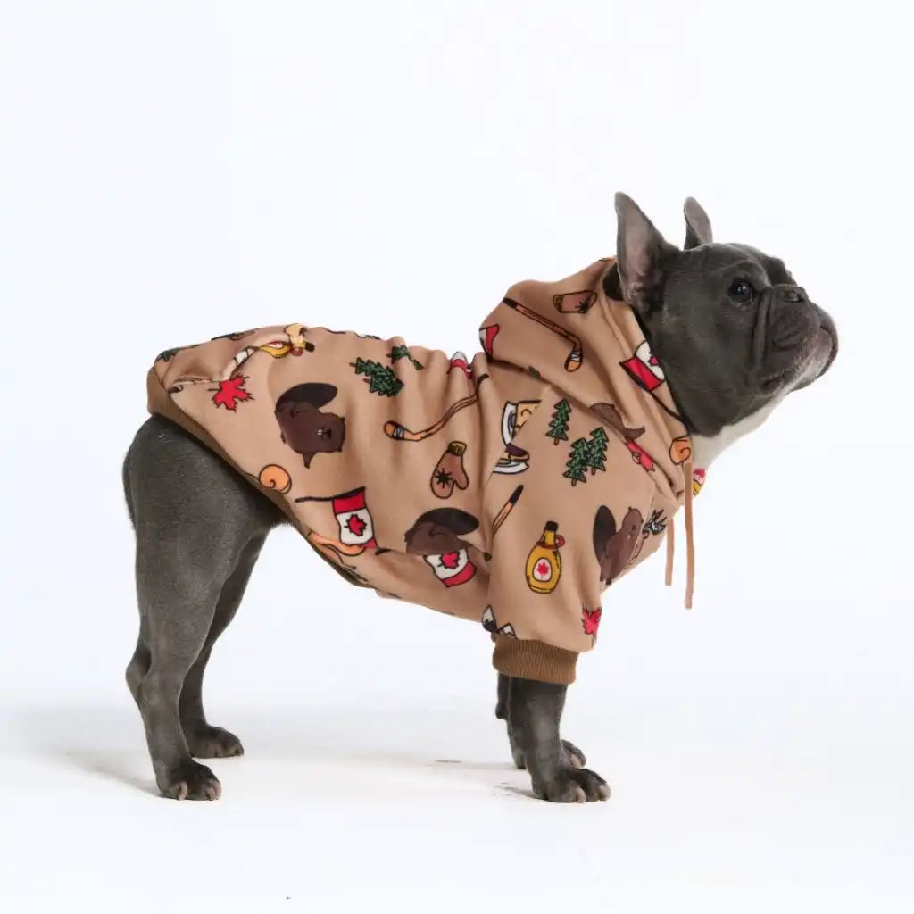 Around the World Dog Hoodies