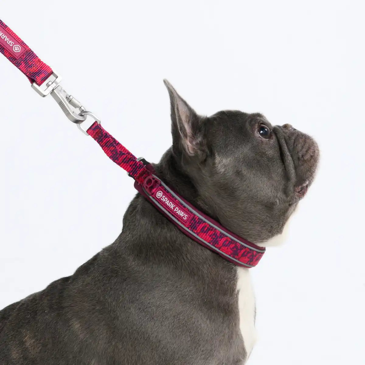 Cushioned Martingale Collars