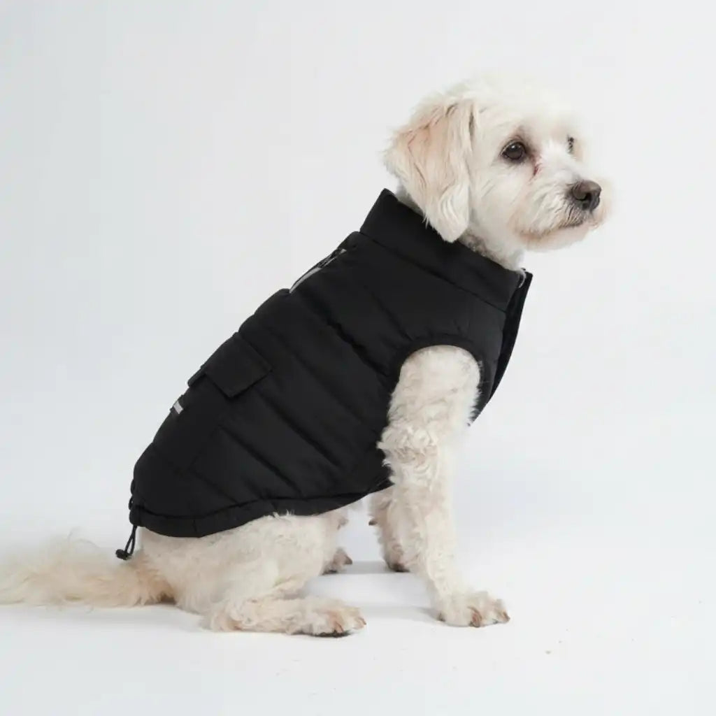 WarmShield Water-Resistant Jacket - Black
