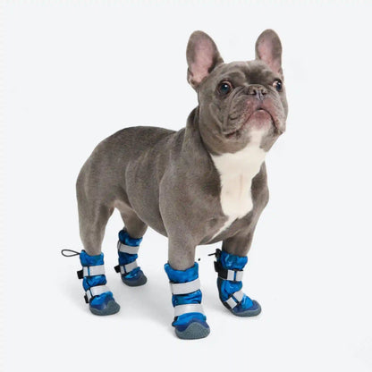 Dog Rainboots, Waterproof Dog Shoes