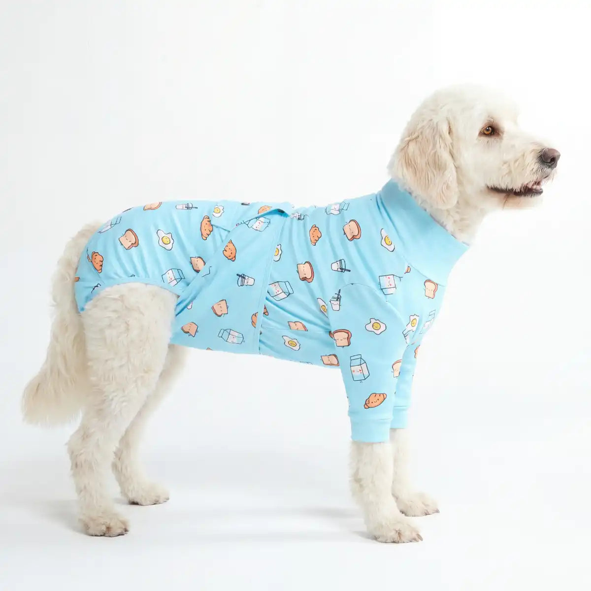 Dog Surgical Suit