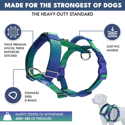Comfort Control No-Pull Harness Sets