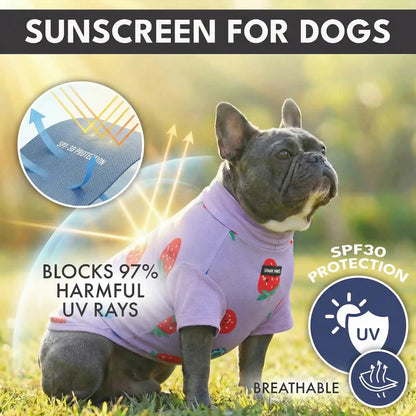 Sunblock Dog T-Shirt 2-pack