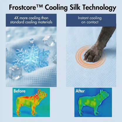 Frostcore™ Cooling Mat 2 Pack