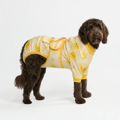 Dog Surgical Suit