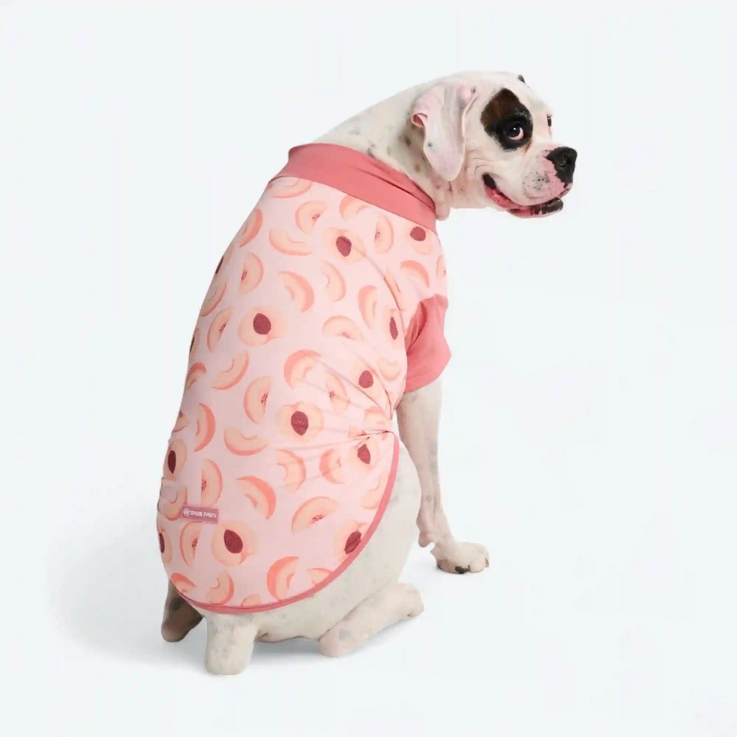 Sunblock Dog T-Shirt - Prints