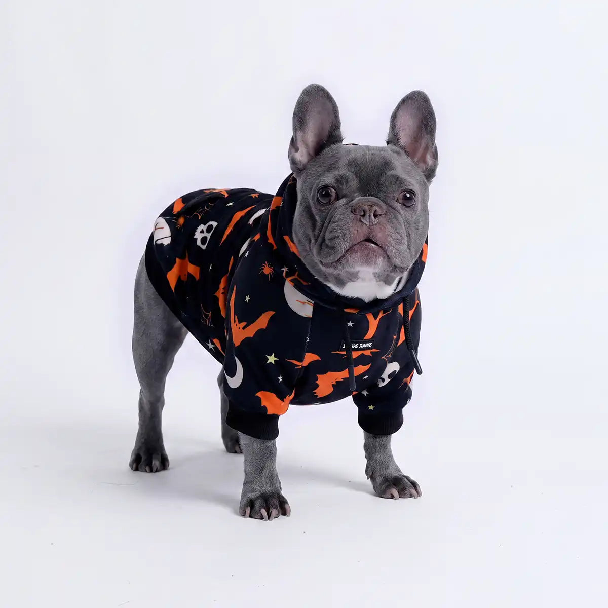 Halloween Dog Hoodie - Black (2)