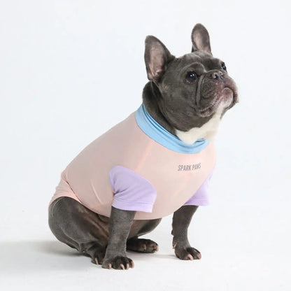 Sunblock Dog T-Shirt - Color Block