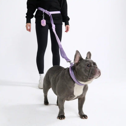 Multipurpose Seatbelt Handsfree Leash & Poop Bag Holder Set