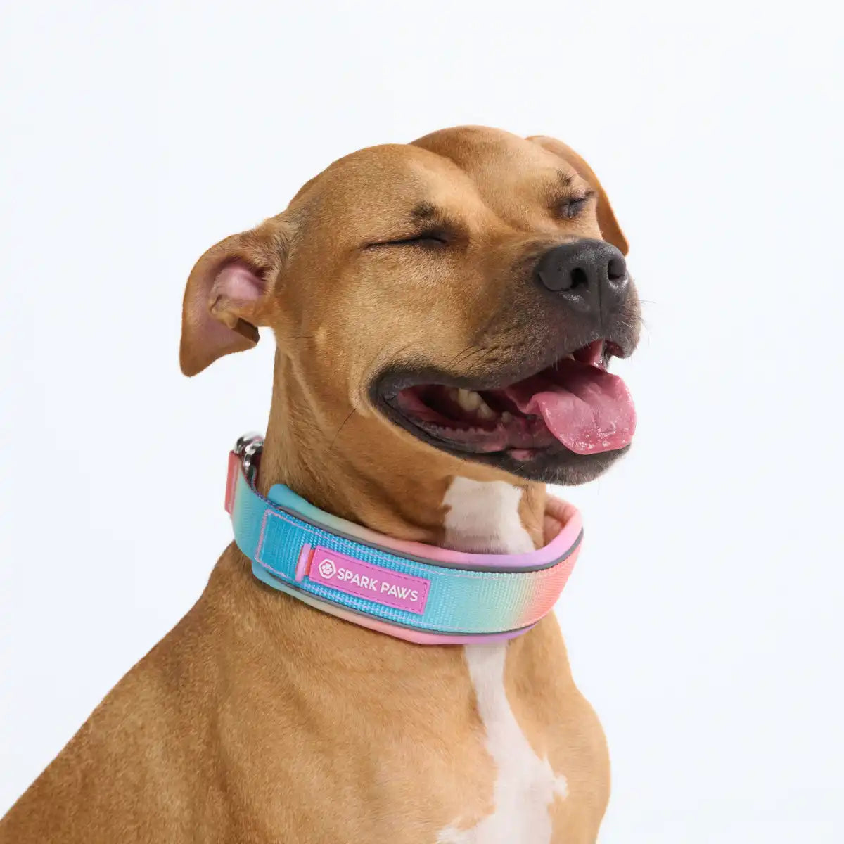 Cushioned Martingale Collars