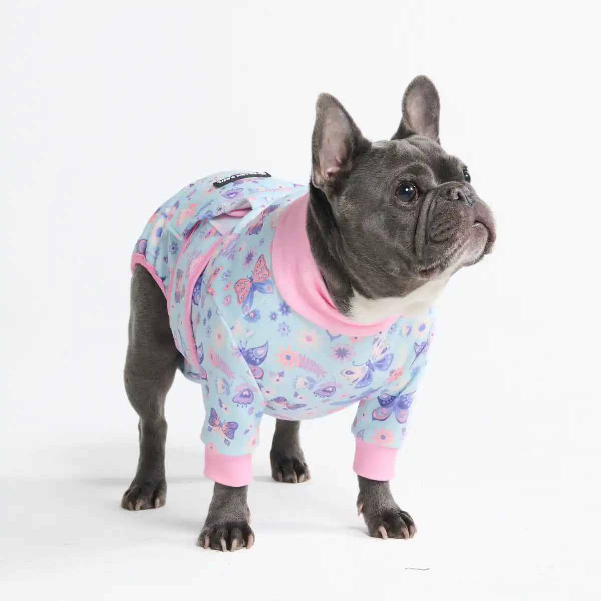 Dog Surgical Suit (2-pack) - Butterfly and Pink Hearts