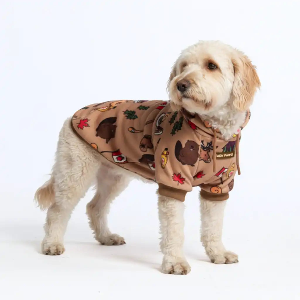 Around the World Dog Hoodies