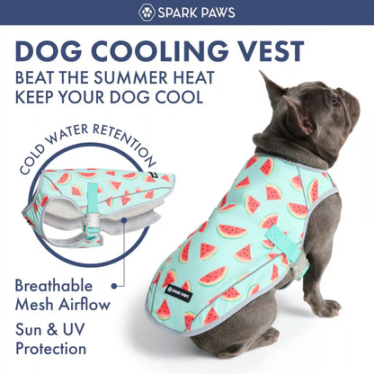 Dog Cooling Vest (2-pack) - Popsicles & Watermelon