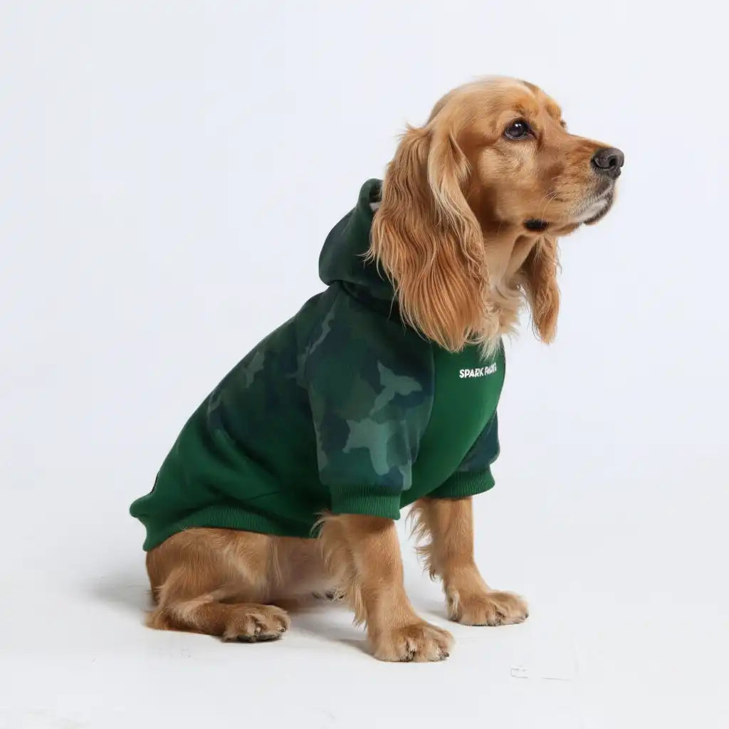Camo Dog Hoodies