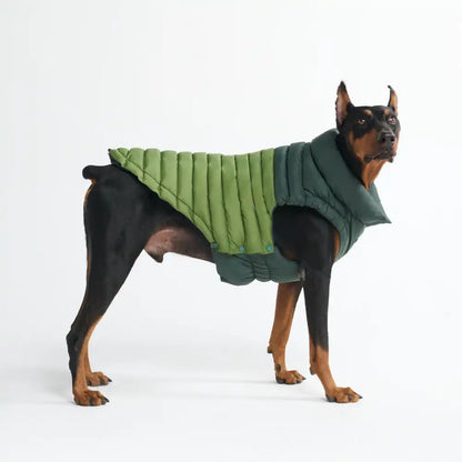 PuffShield Winter Jacket - Green