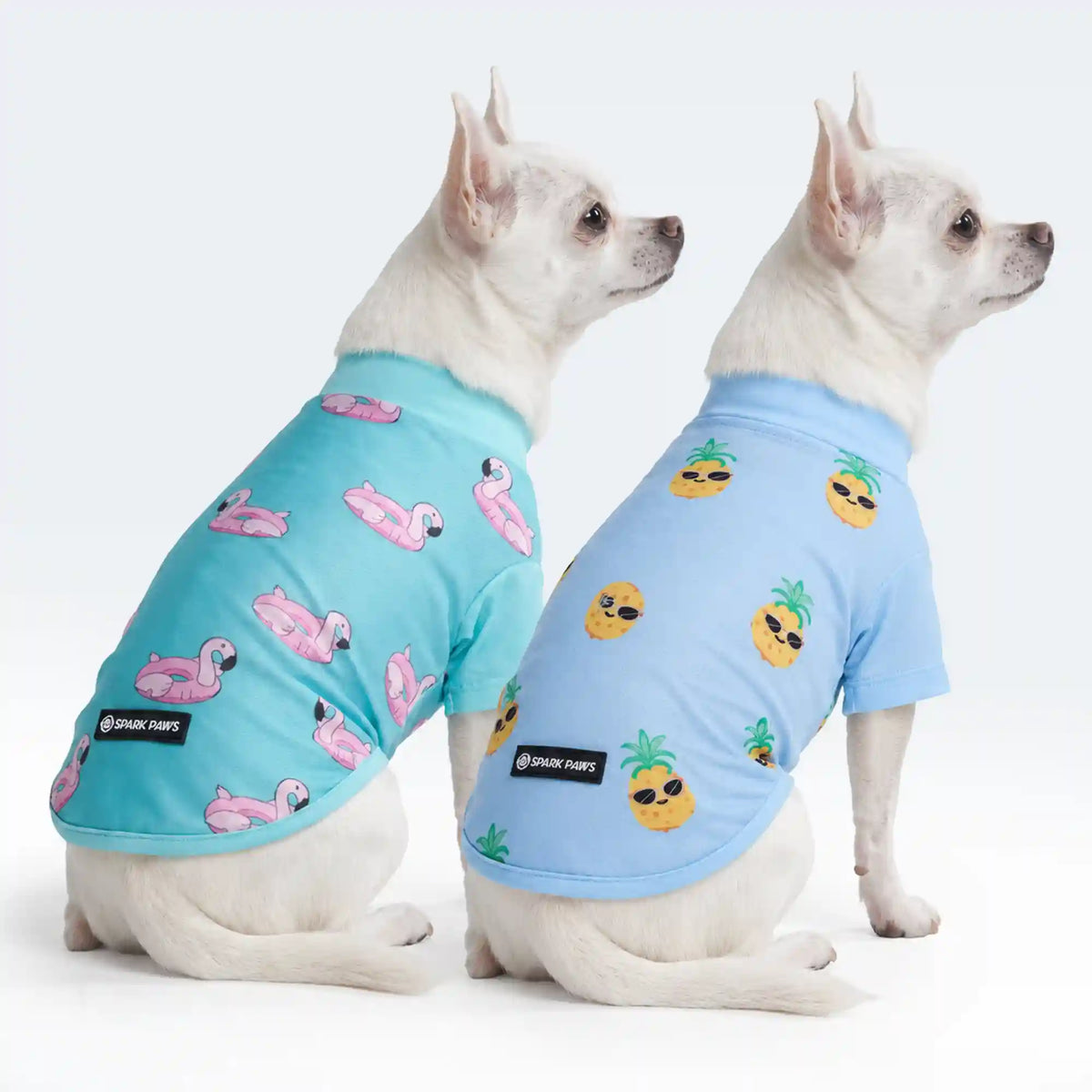 Sunblock Dog T-Shirt 2-pack