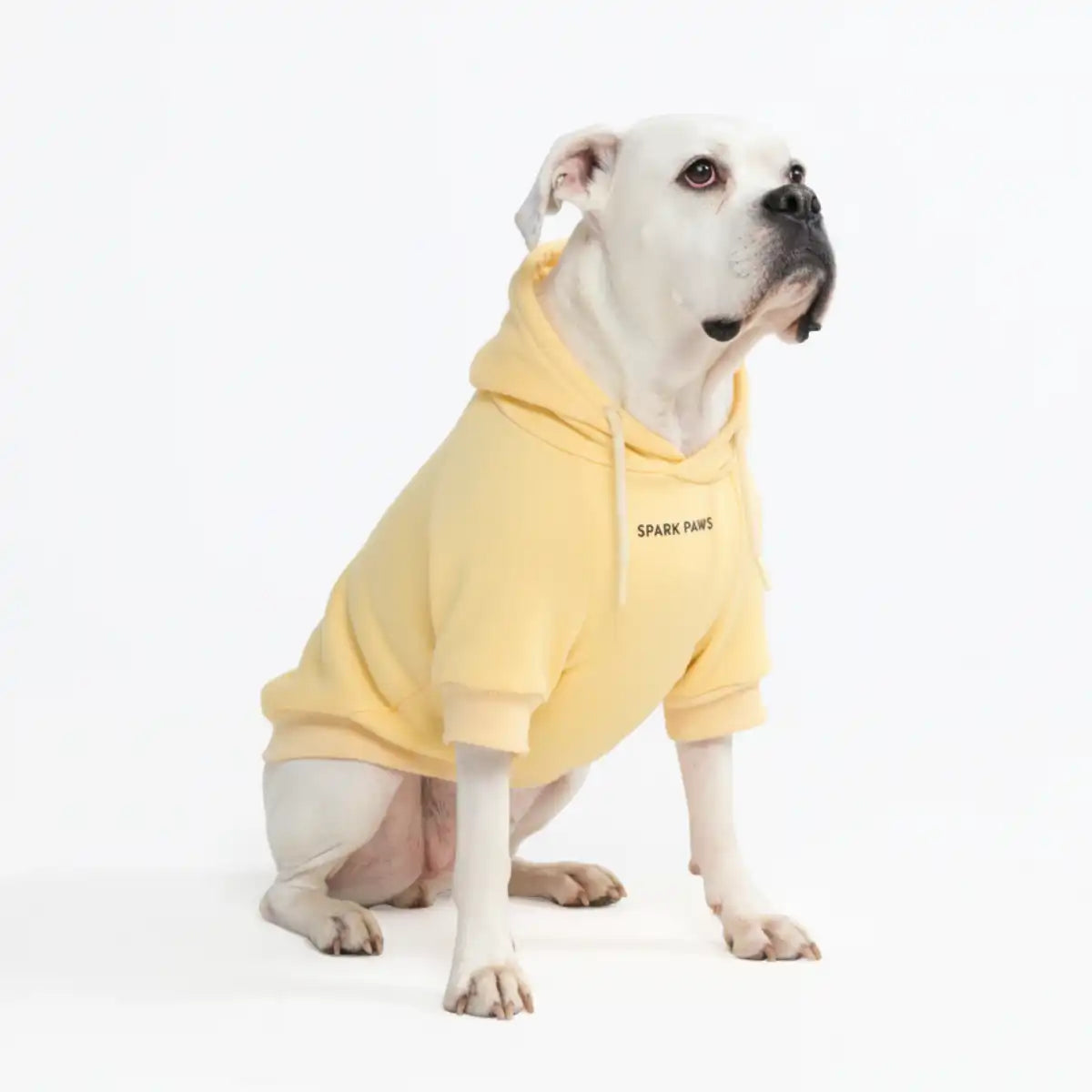 Essential Dog Hoodies