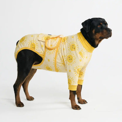 Dog Surgical Suit