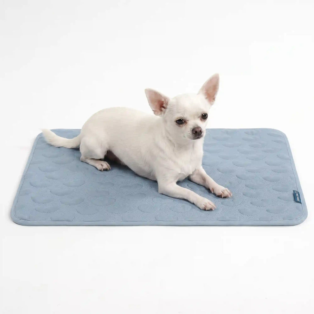 Frostcore™ Cooling Mat
