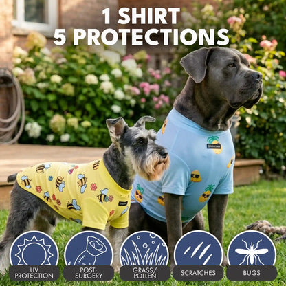 Sunblock Dog T-Shirt 2-pack