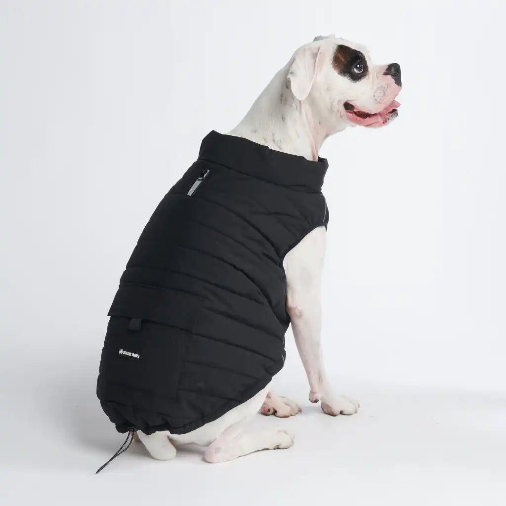 WarmShield Water-Resistant Jackets