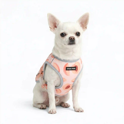 Chilltech™ Dog Cooling Vests