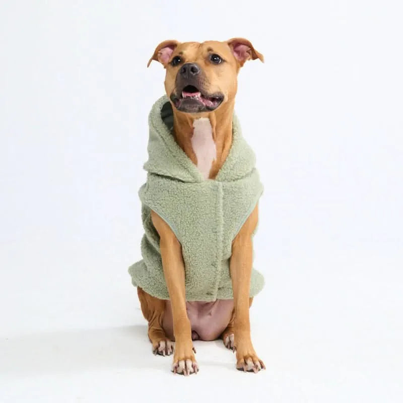 Teddy Sherpa Dog Jackets