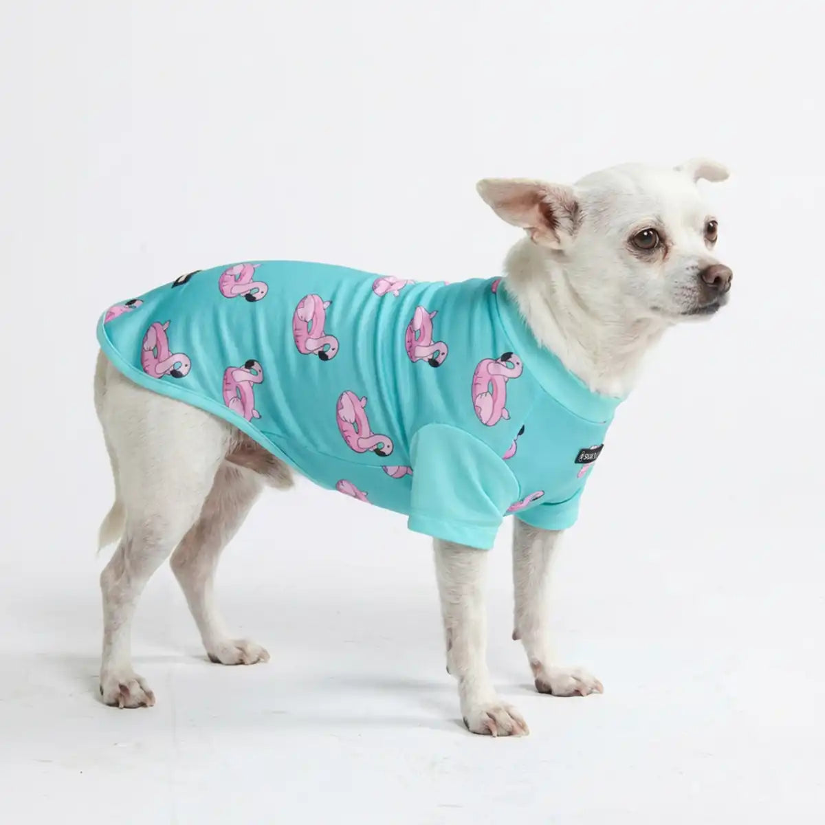 Sunblock Dog T-Shirt - Prints