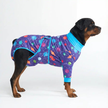 Dog Surgical Suit