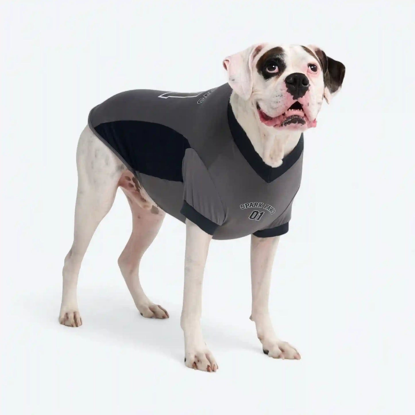 Football Mesh Jersey - Grey
