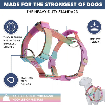 Comfort Control No-Pull Dog Harnesses