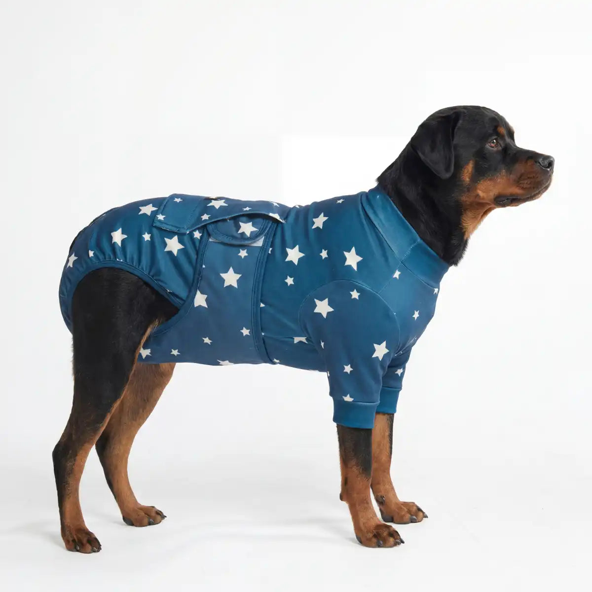 Dog Surgical Suit