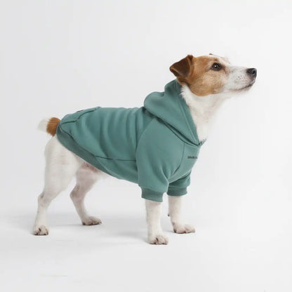 Essential Dog Hoodie - Teal