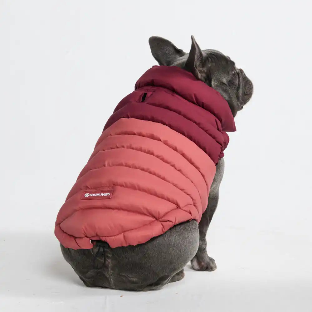 PuffShield Winter Jackets