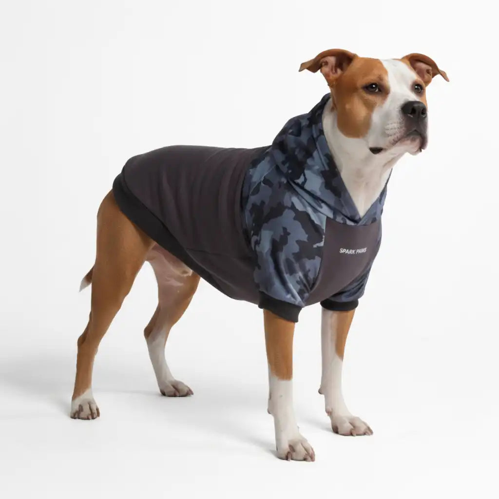 Camo Dog Hoodies