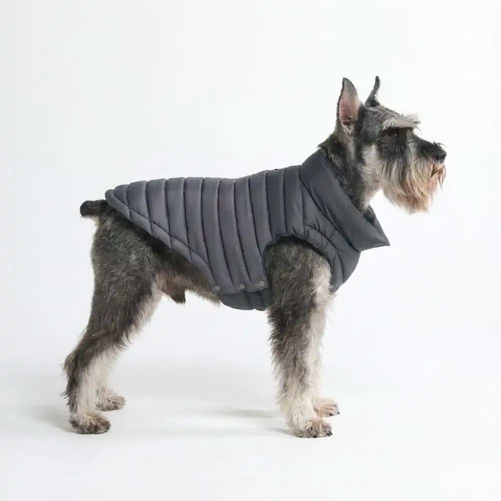 PuffShield Winter Jackets