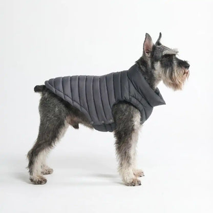 PuffShield Winter Jacket - Black
